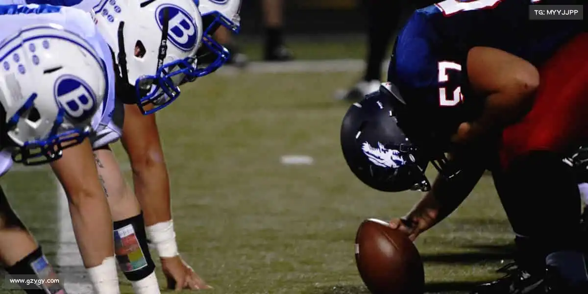 为什么选择我们